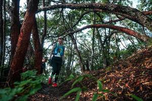 BIB: 
                            <button type="button" onclick="openModal(26345179)" class="btn btn-primary btn-sm float-right btn-popup" data-toggle="modal" data-target=".modal-high-quality">
                        <i class="fas fa-shopping-cart"></i> Add to Cart
                    </button>
                                            <button type="button" onclick="isThisMe(26345179, true)" class="btn btn-success btn-sm float-right btn-popup btn-isme hidden" data-toggle="tooltip" data-placement="bottom" title="นี่คือรูปของคุณใช่ไหม คลิกที่นี่เพื่อเอาเข้าอัลบั้ม">
                        <i class="fas fa-plus"></i> Add to album
                    </button>
                    <button type="button" onclick="isThisMe(26345179, false)" class="btn btn-warning btn-sm float-right btn-popup btn-isnotme hidden">
                        <i class="fas fa-ban"></i> Remove from album
                    </button>